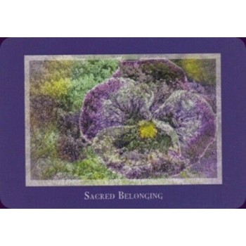 Gaia’s Vision Oracle kortos Schiffer Publishing